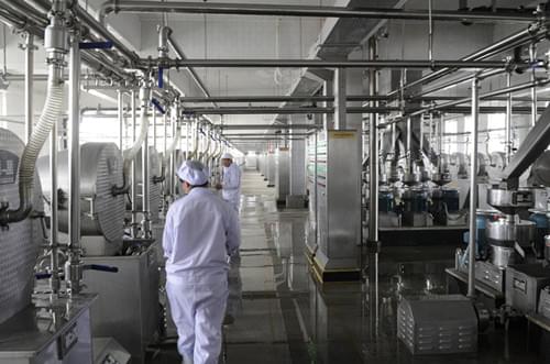生物質(zhì)蒸汽發(fā)生器用于食品加工廠現(xiàn)場案例